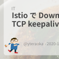 Istio で Downstream への TCP keepalive を送る方法